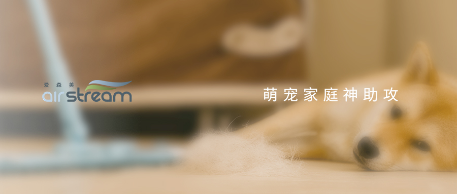 愛寵換毛季“叕”來了，你還毫無準(zhǔn)備？